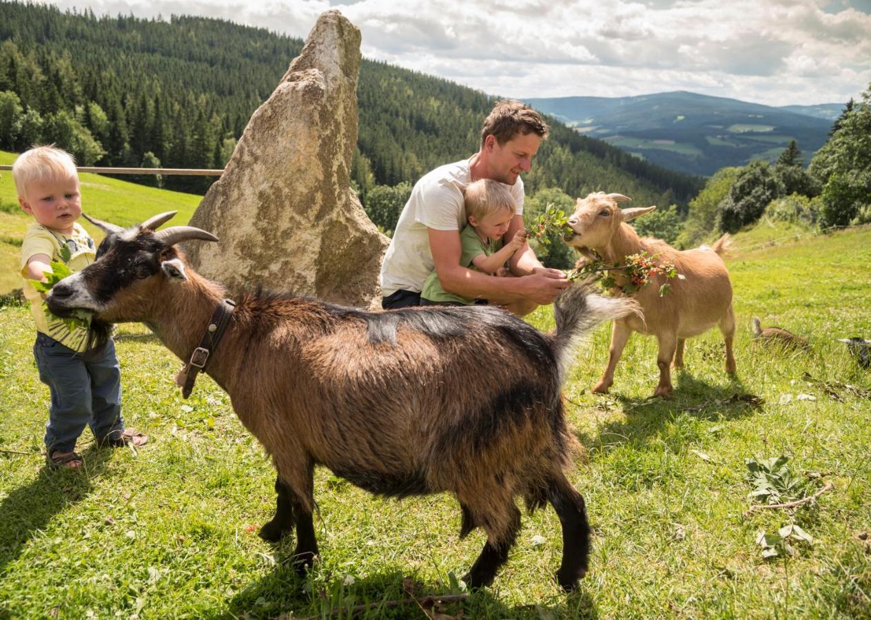 Gasthof Pension Orthofer ซังค์ยาคอบ อิม วาลเดอ ภายนอก รูปภาพ