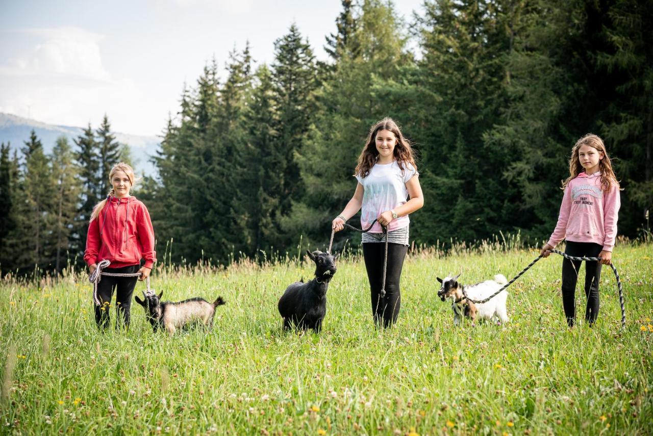 Gasthof Pension Orthofer ซังค์ยาคอบ อิม วาลเดอ ภายนอก รูปภาพ